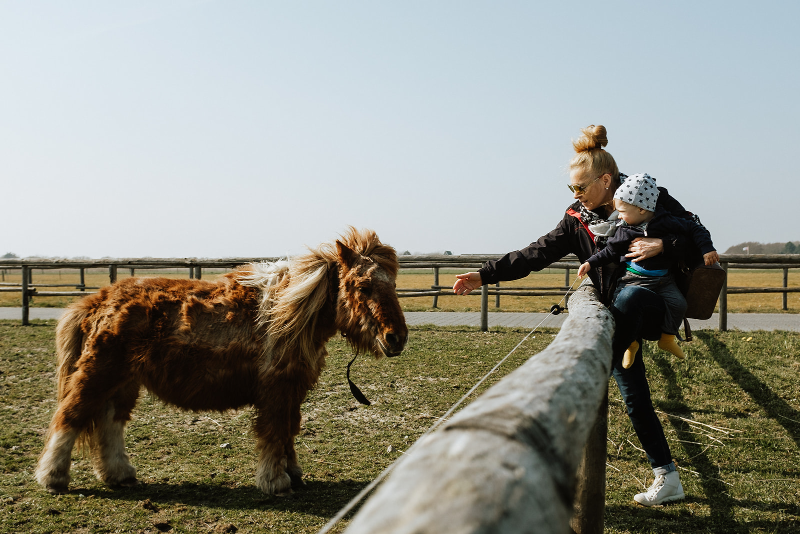 Familienshooting roar familienfotos Köln