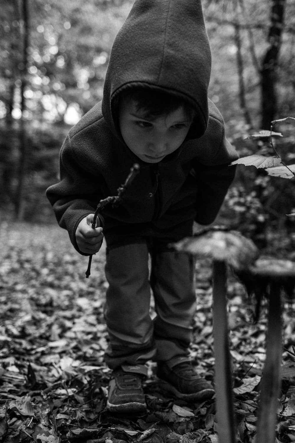 Familienfotos Düsseldorf und Köln in der Natur oder bei Euch Zuhause