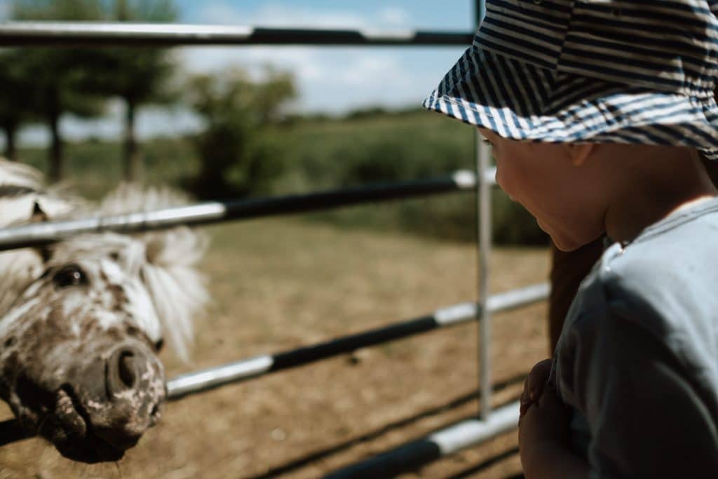 Kind beobachtet ein Pferd